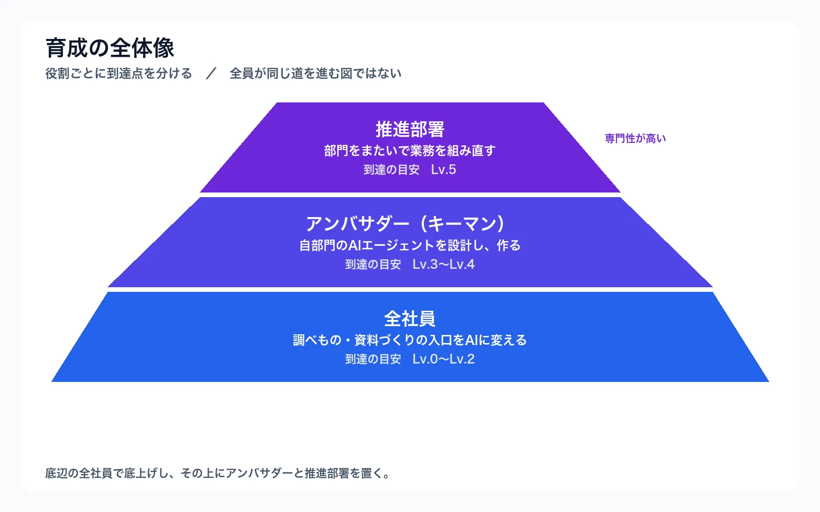 育成の全体像。底辺の全社員（Lv.0〜2）、その上にアンバサダー（Lv.3〜4）、頂点に推進部署（Lv.5）。役割ごとに到達点を分ける